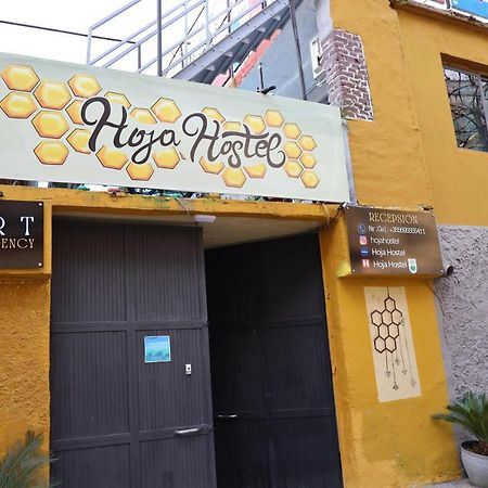 Hoja Hostel Tirana Exteriér fotografie